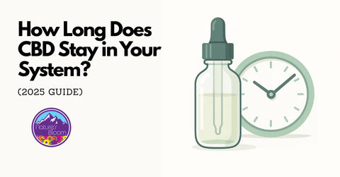 Glass dropper bottle with a clock representing how long CBD stays in your system