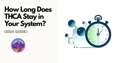 Abstract molecule with stopwatch representing how long THCA stays in your system
